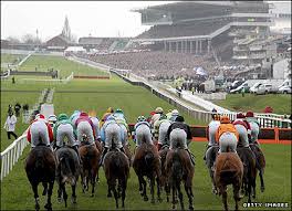 cheltfest
