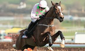 vautour